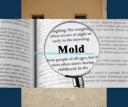 Ottawa Mold Removal-Orleans-Kanata Logo