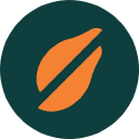 Papaya Search Logo